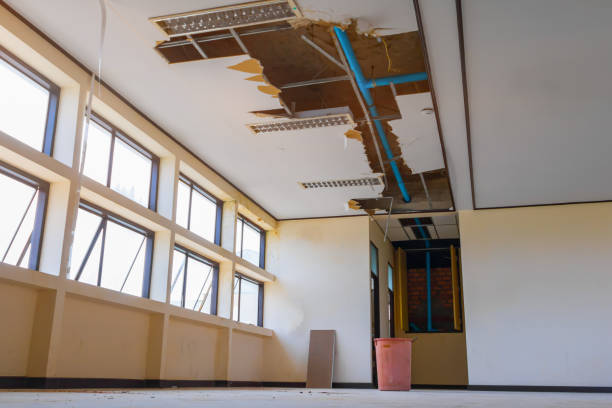 Best 24/7 water damage repair  in Somerset, WI