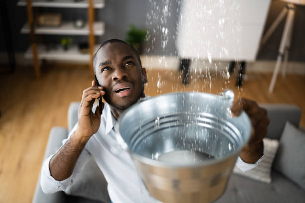 Best Ceiling water damage repair  in Somerset, WI
