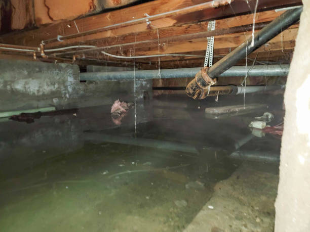 24/7 water damage repair in Somerset, WI