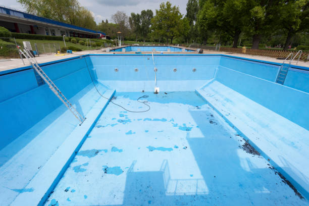 Best Flood damage cleanup  in Somerset, WI