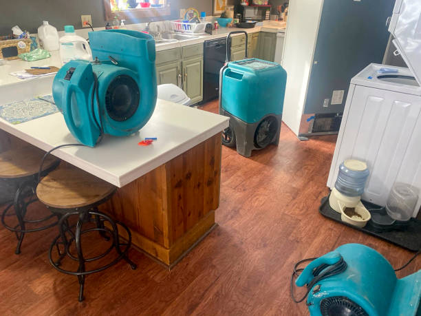 Best Water damage contractors near me  in Somerset, WI