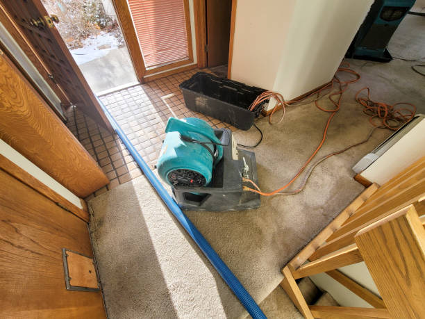 Best Water damage repair service  in Somerset, WI