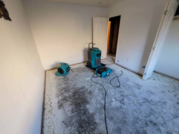 Best Residential water damage restoration  in Somerset, WI