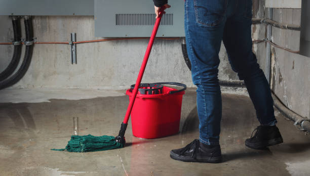 Best Emergency water extraction  in Somerset, WI