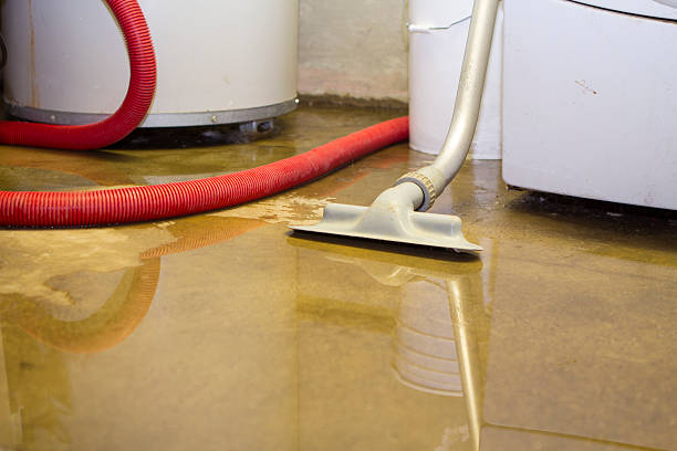 Best Water damage restoration specialists  in Somerset, WI
