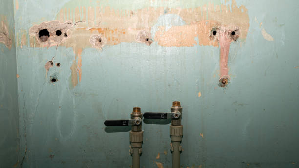 Best Local water damage restoration  in Somerset, WI
