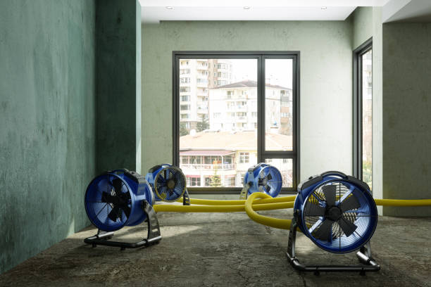Best Flood restoration services  in Somerset, WI